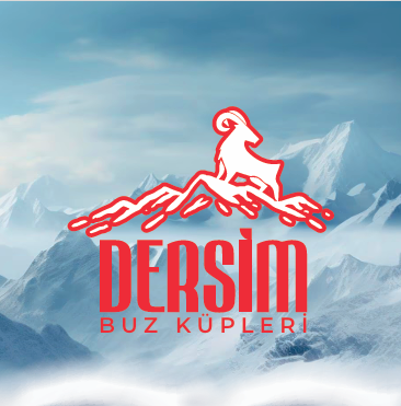 Ekran görüntüsü 2024-01-31 194336